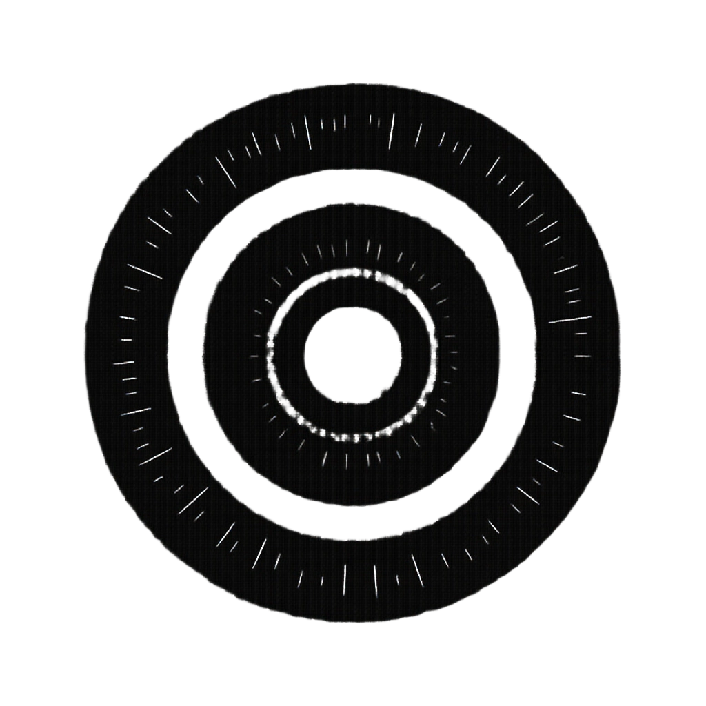 Concentric Circles with Radial Lines