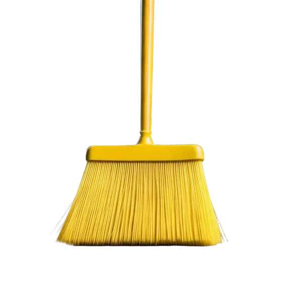 Yellow Broom