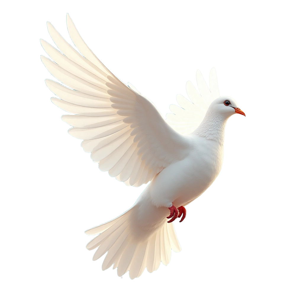 White Dove in Flight