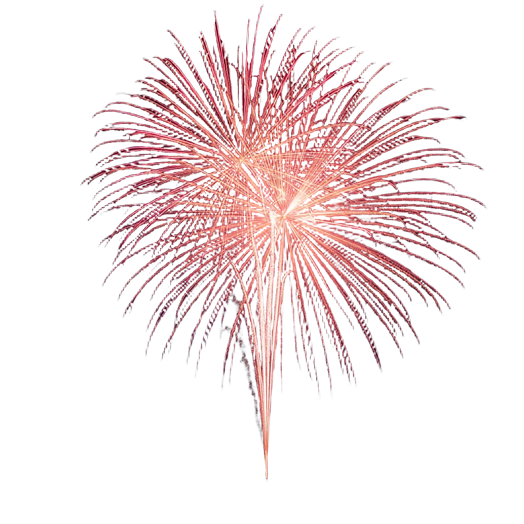 Spectacular Fireworks Display