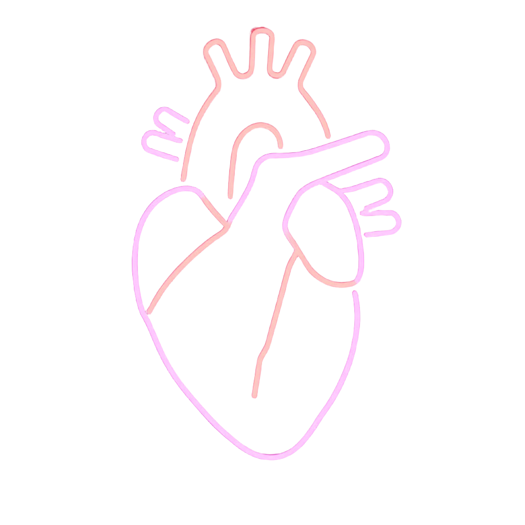 Human Heart Illustration