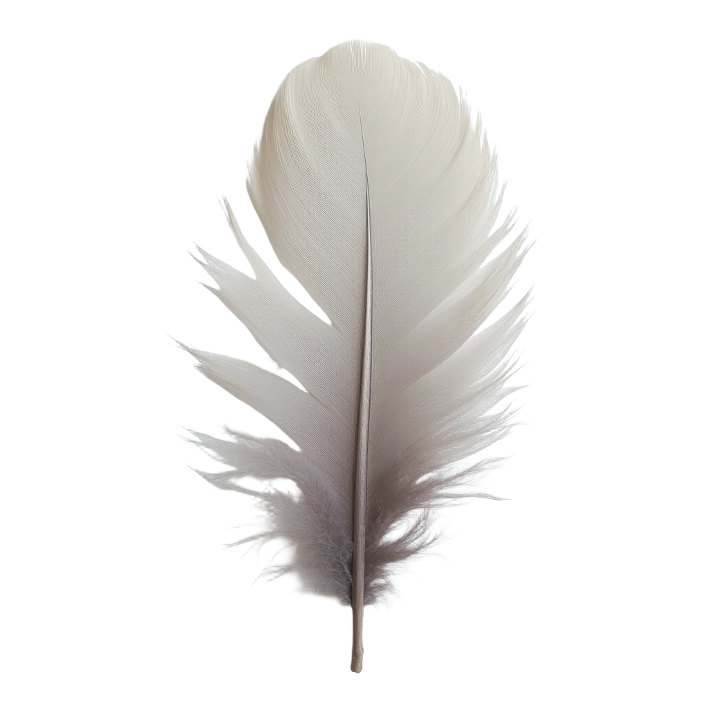 White Feather