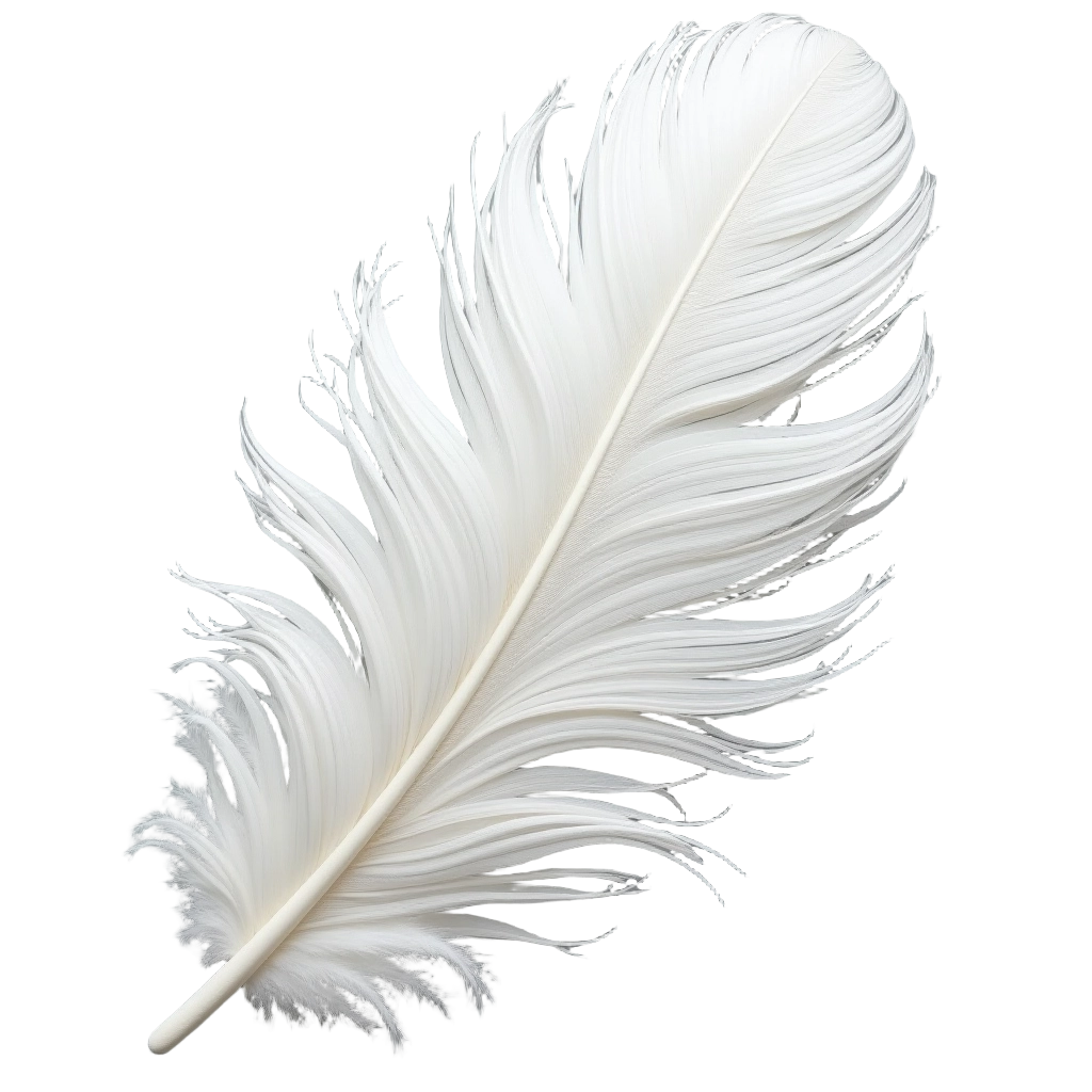 Elegant White Feather