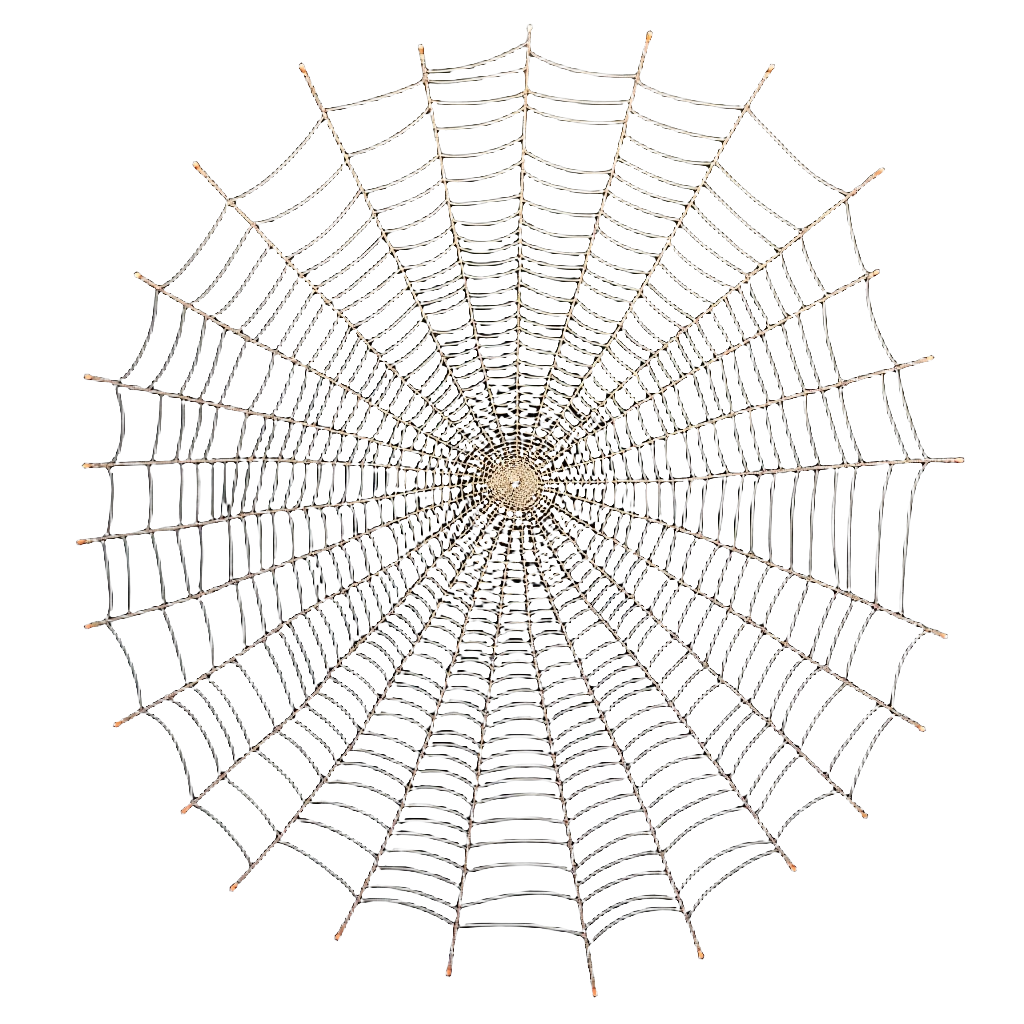 Spider Web