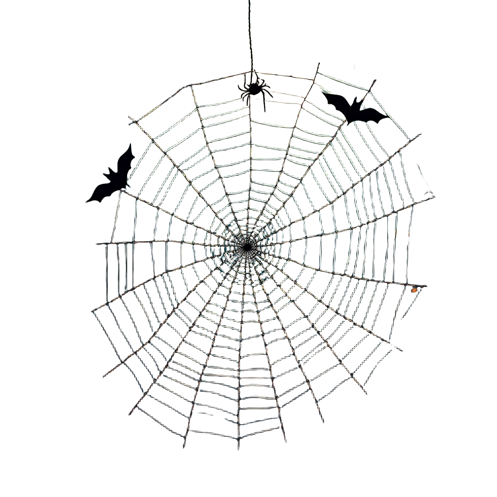 Spider Web in the Dark