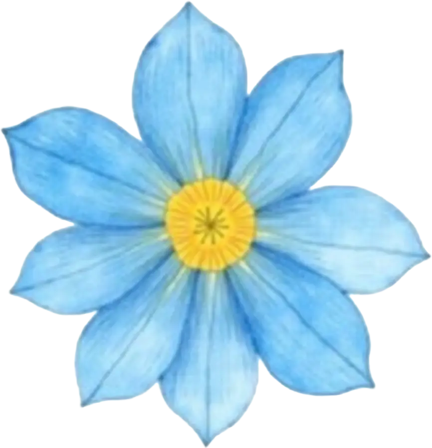 Blue Flower Illustration