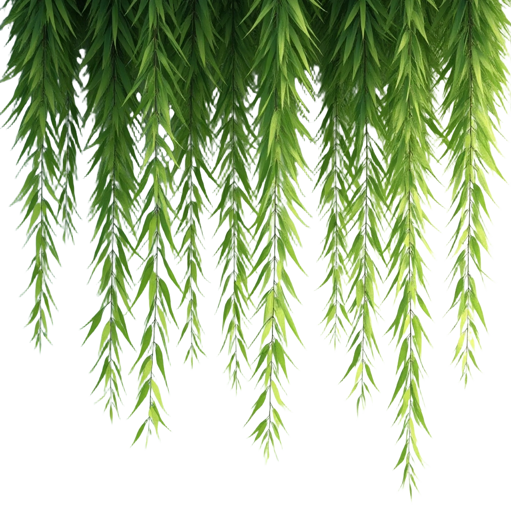 Hanging Fern Leaves