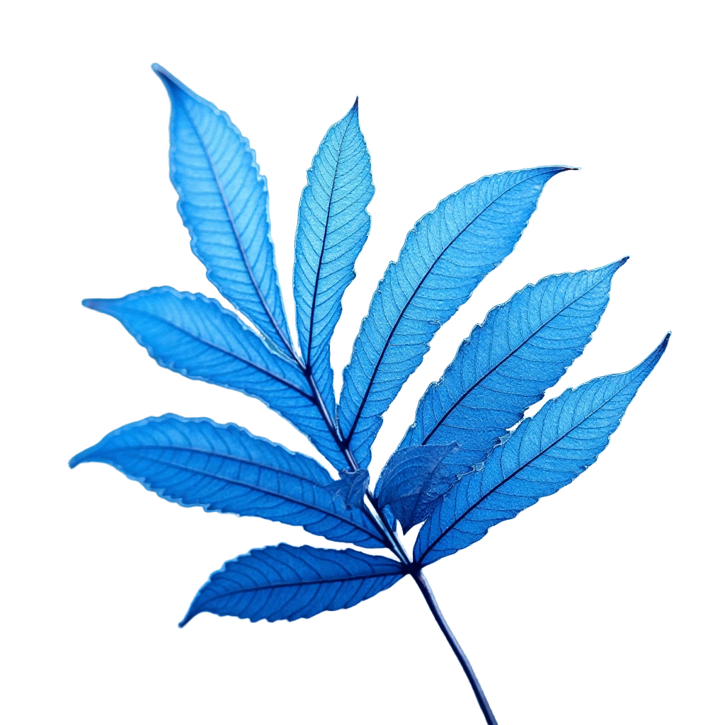 Electric Blue Leaves