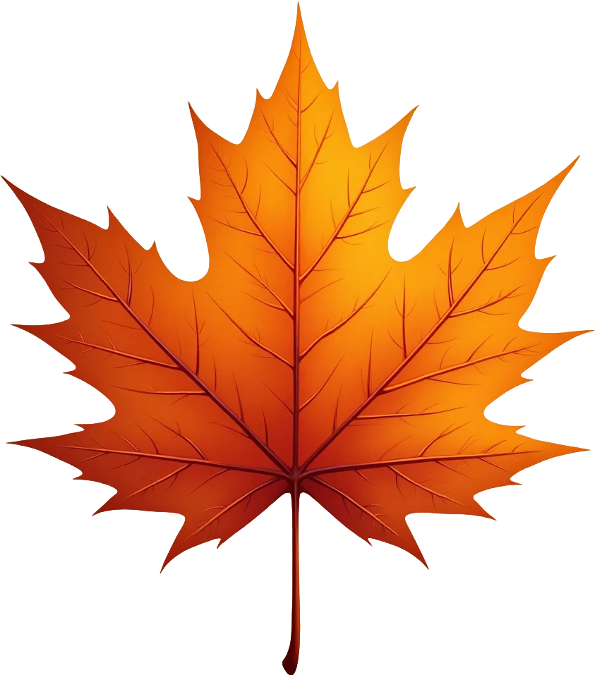 Autumn Maple Leaf