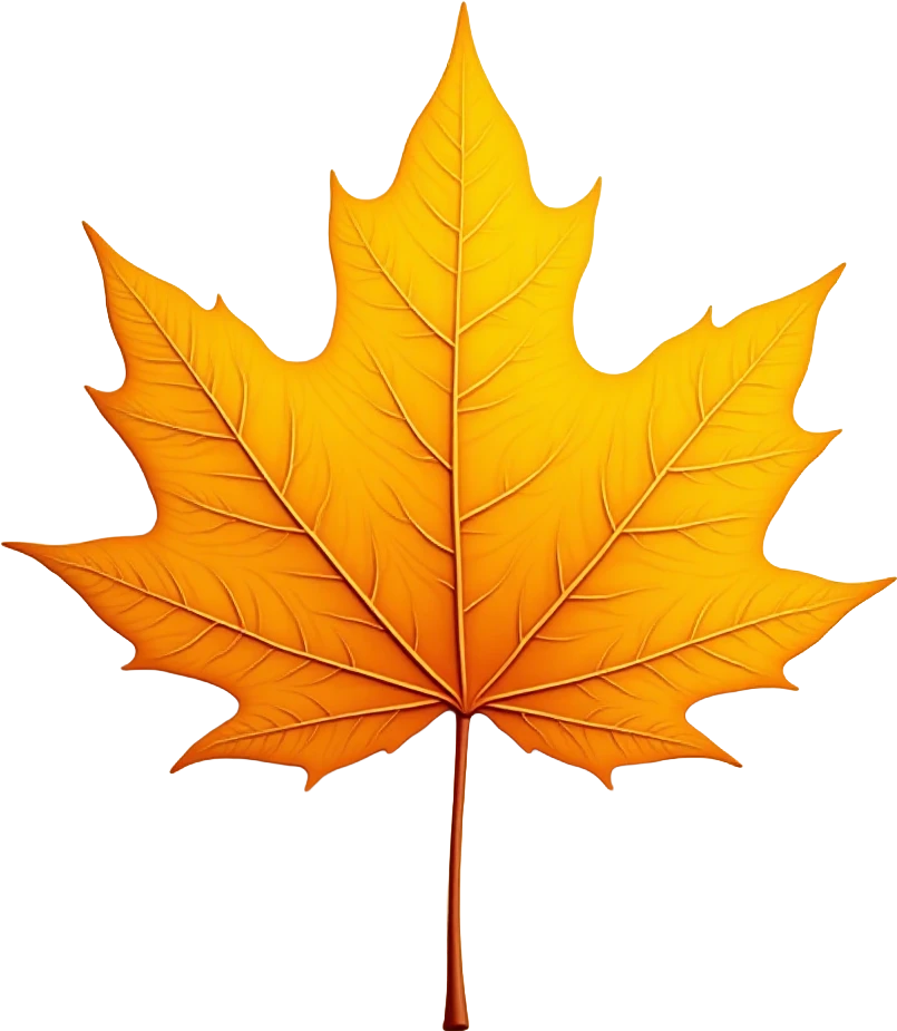 Autumn Maple Leaf