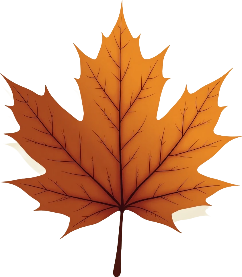 Autumn Maple Leaf