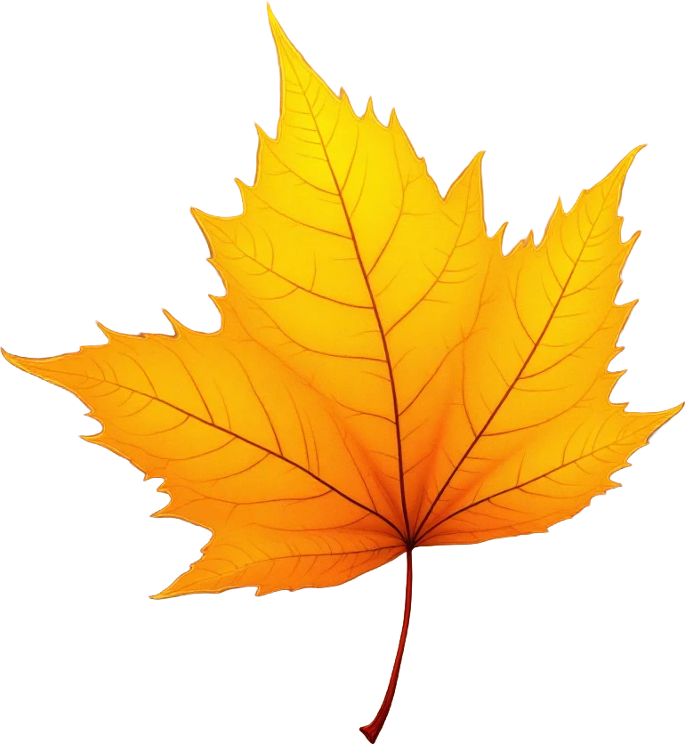 Autumn Maple Leaf