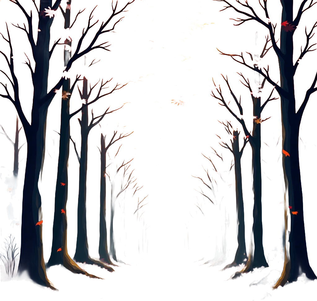 Autumn Sunset Path