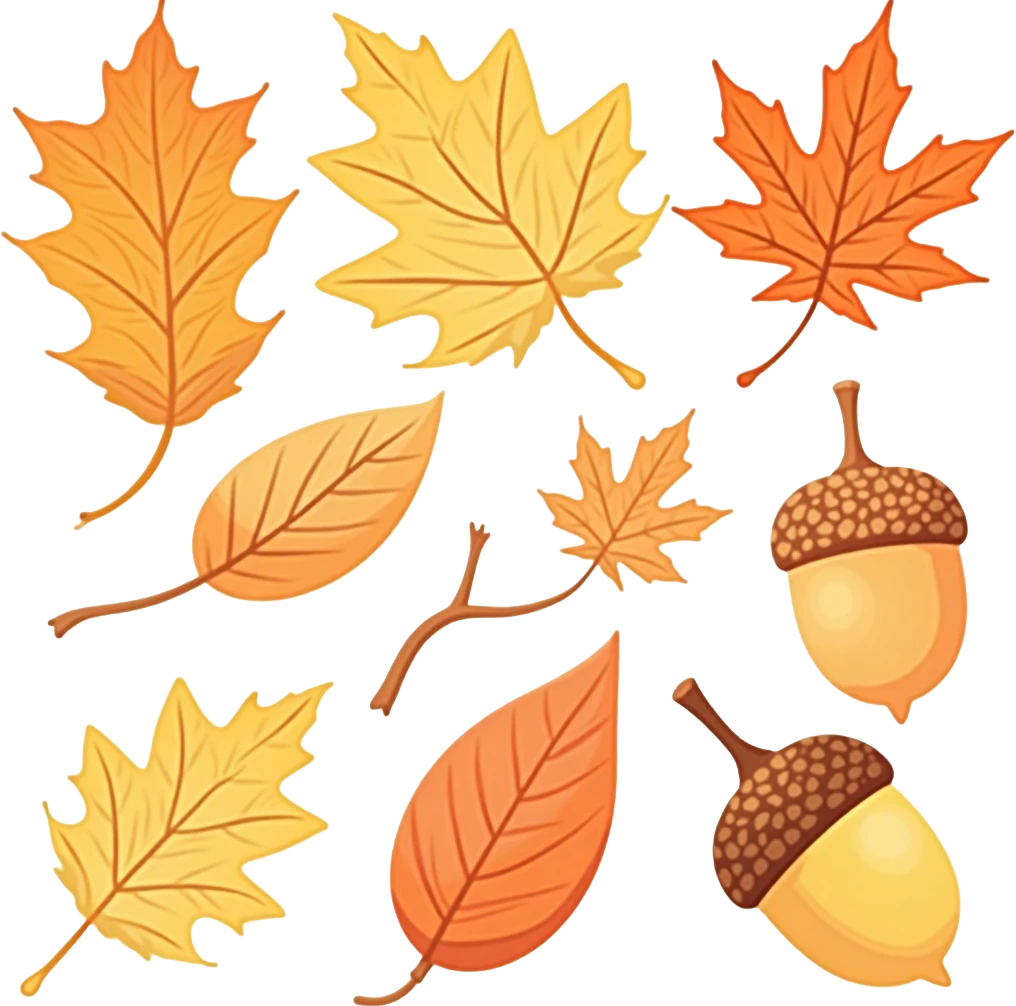 Autumn Leaves and Acorns