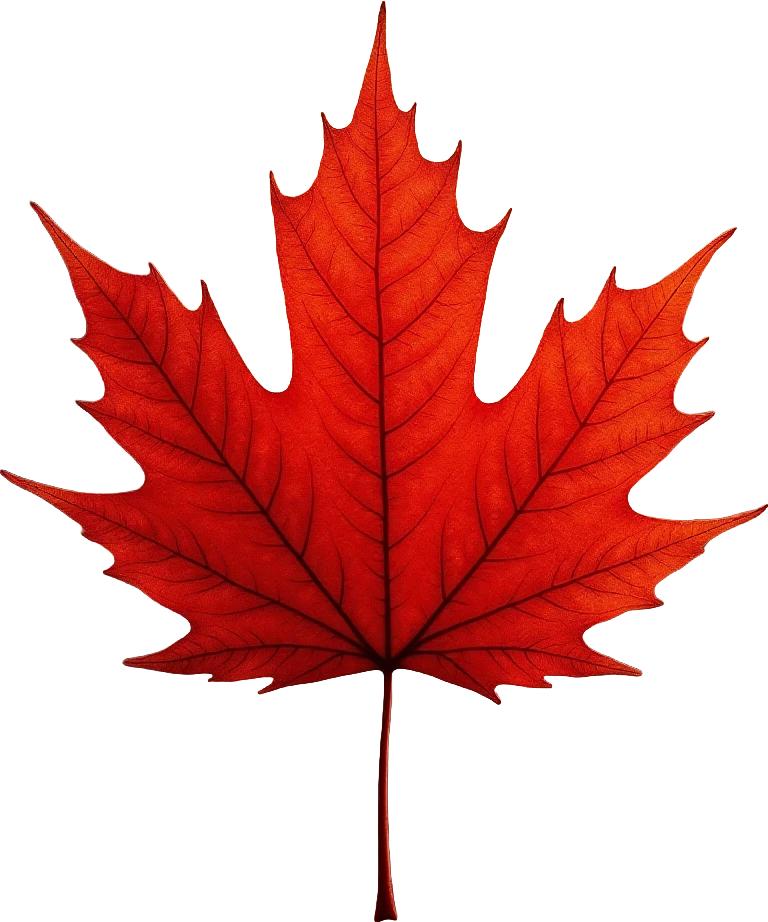 Autumn Maple Leaf