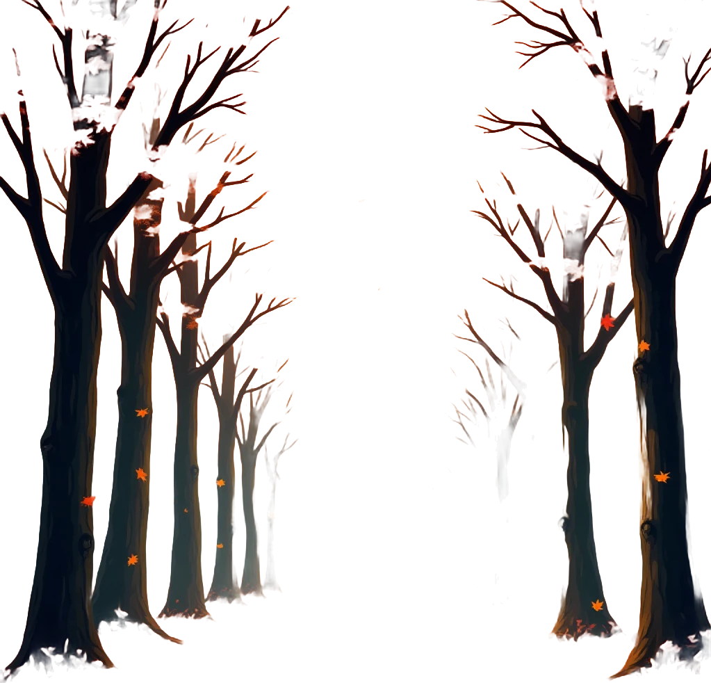 Autumn Forest Path