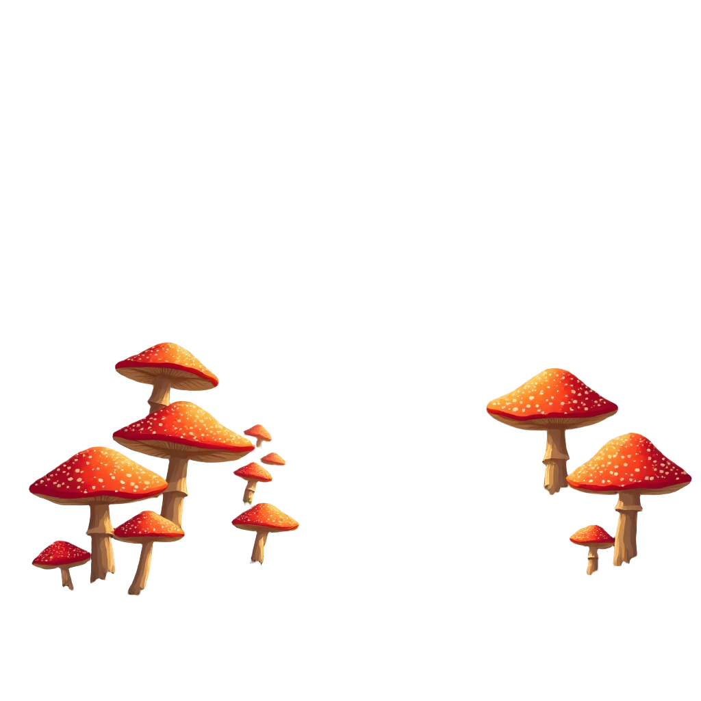 Mushroom Forest