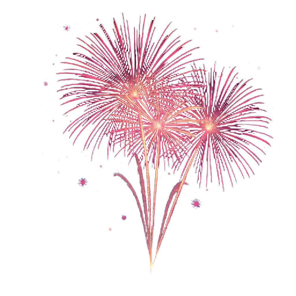 Festive Fireworks Display