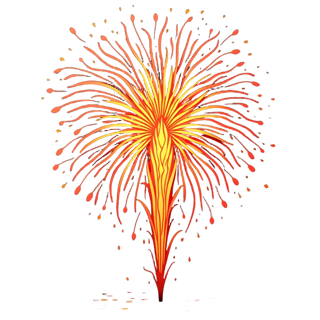 Spectacular Firework Burst