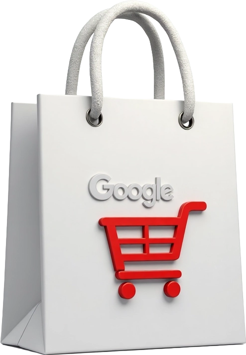 Google Shopping Bag